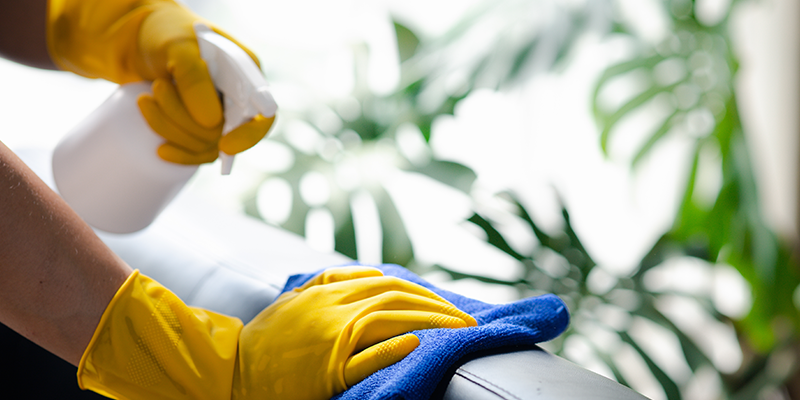 Cleaning business cleaning a sofa