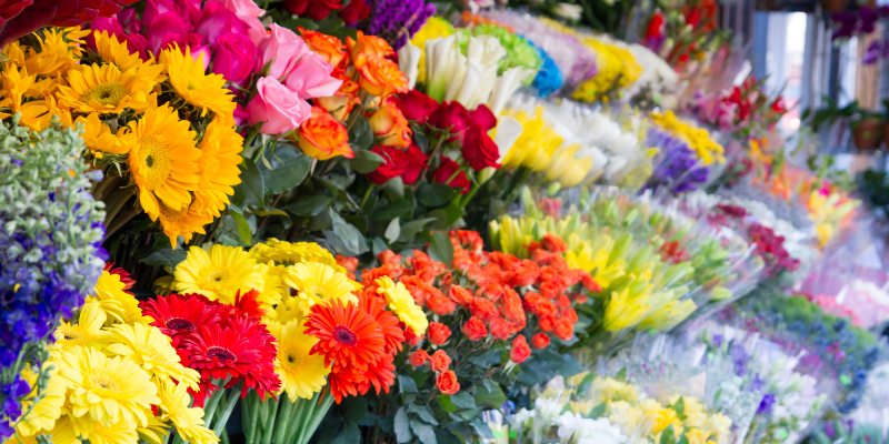 flower shop
