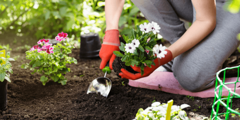 gardening business