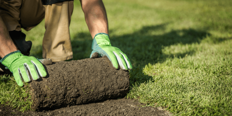 landscaping business
