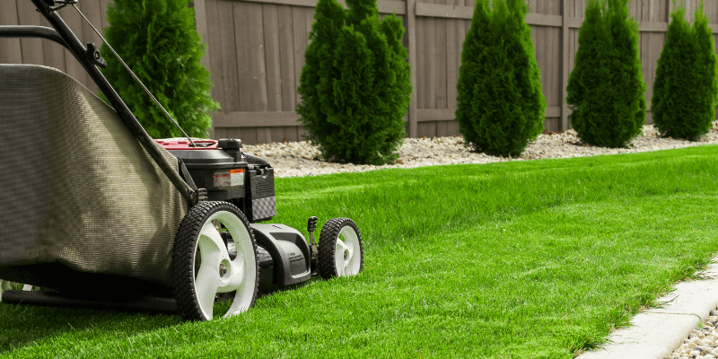 landscaping business