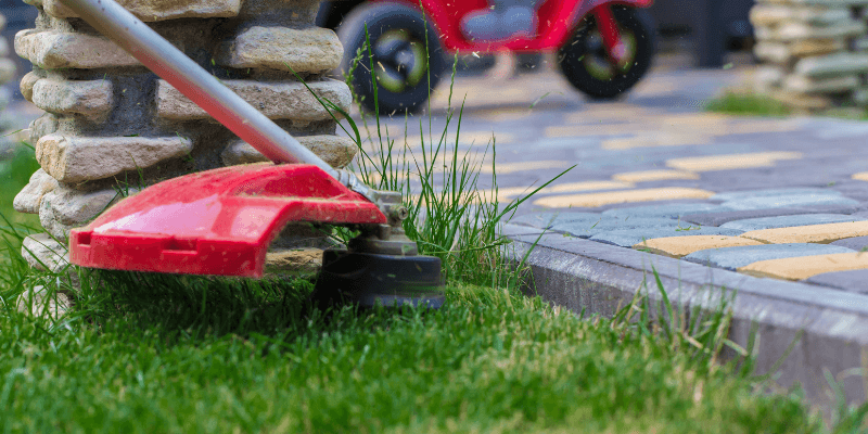 Lawn care company