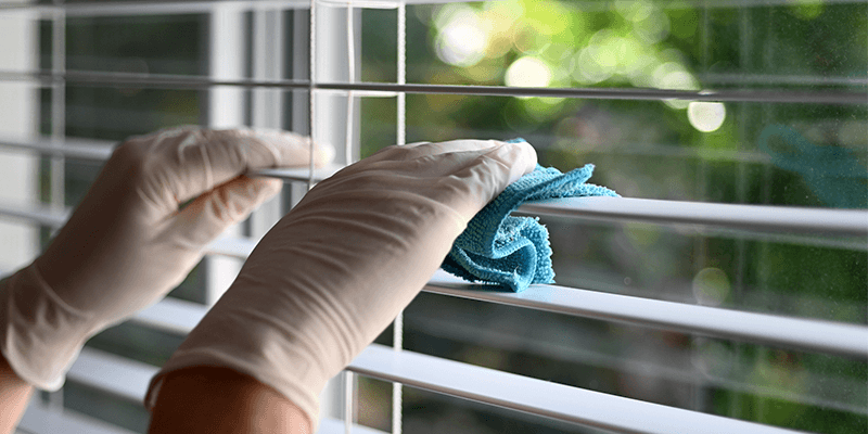 Cleaning employee dusting blinds on a window
